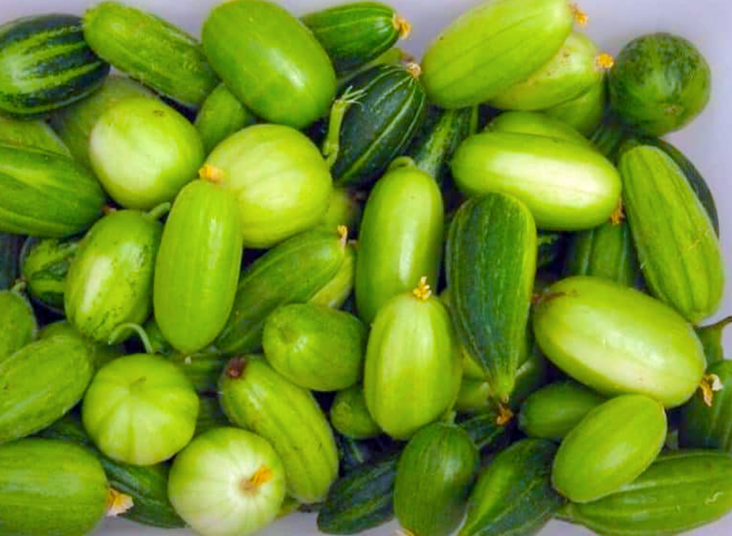A collection of corosello melons.