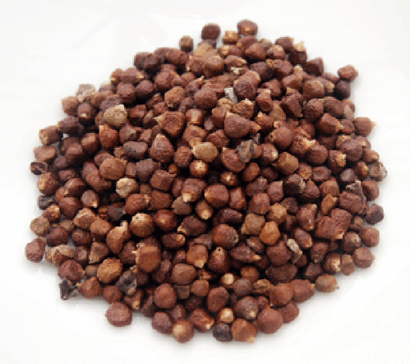 Grains of Paradise