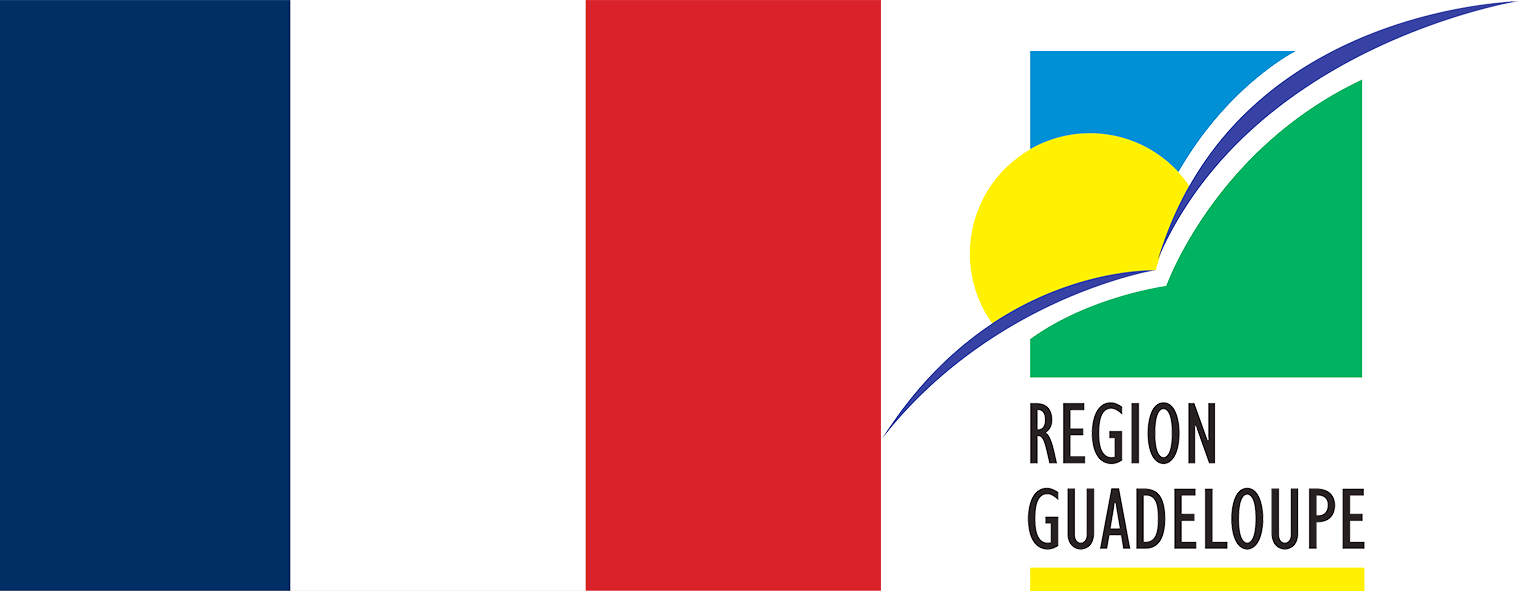 The flag and emblem of Martinique.