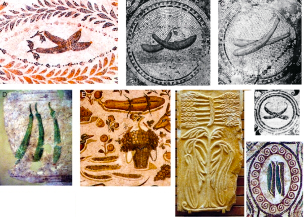 Contemporary Ancient Roman images of bottle gourds.