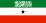 The Flag of Mozambique.
