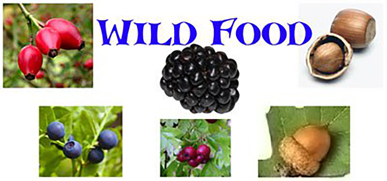 Wild Food Site Banner.
