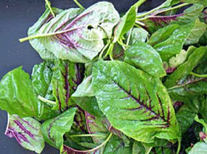Pile of amaranth leaves