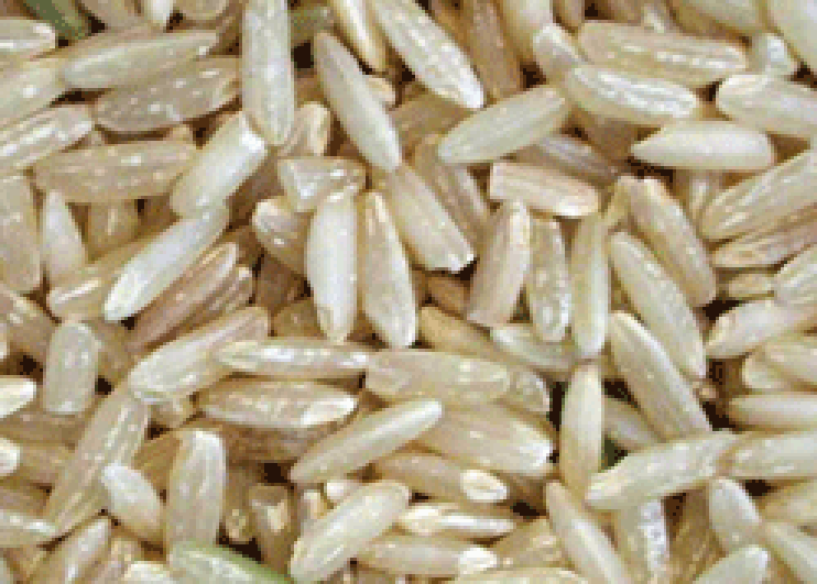FabulousFusionFood's Cook's Guide for Basmati Rice Home Page