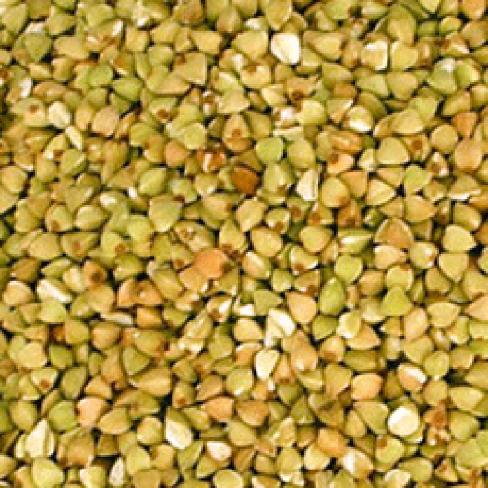 Grains of buckwheat