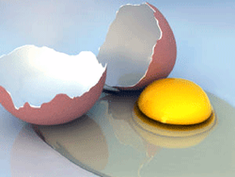 Egg cracked open with shell