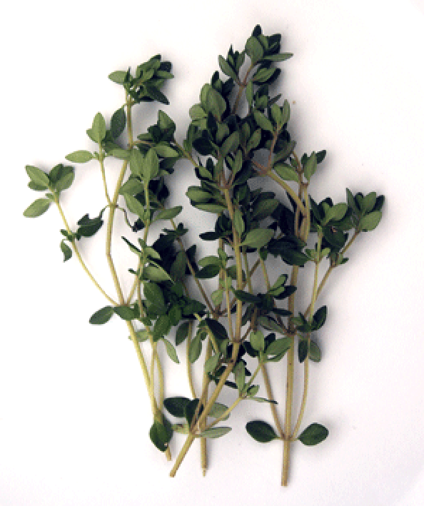 Fresh sprigs of lemon thyme