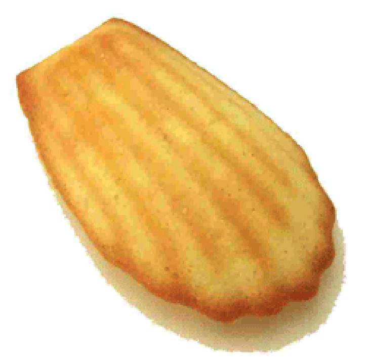 Classic scallop-shaped madeleine cake