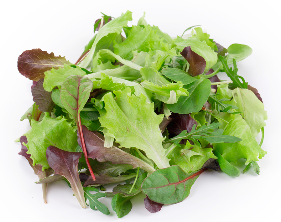 Mesclun salad mix