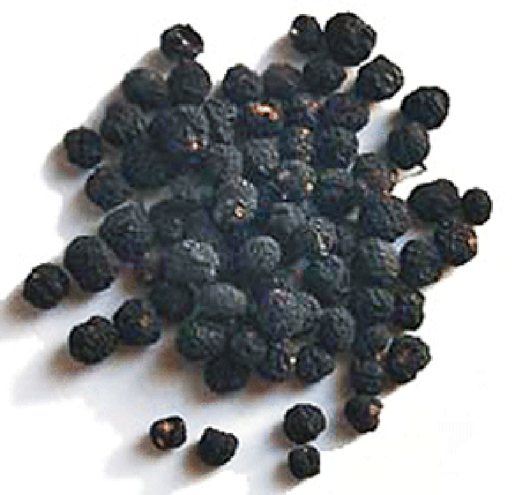 Pile of dried Tasmanian pepper berries