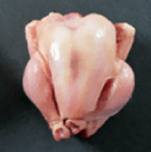 Raw poussin, an immature chicken