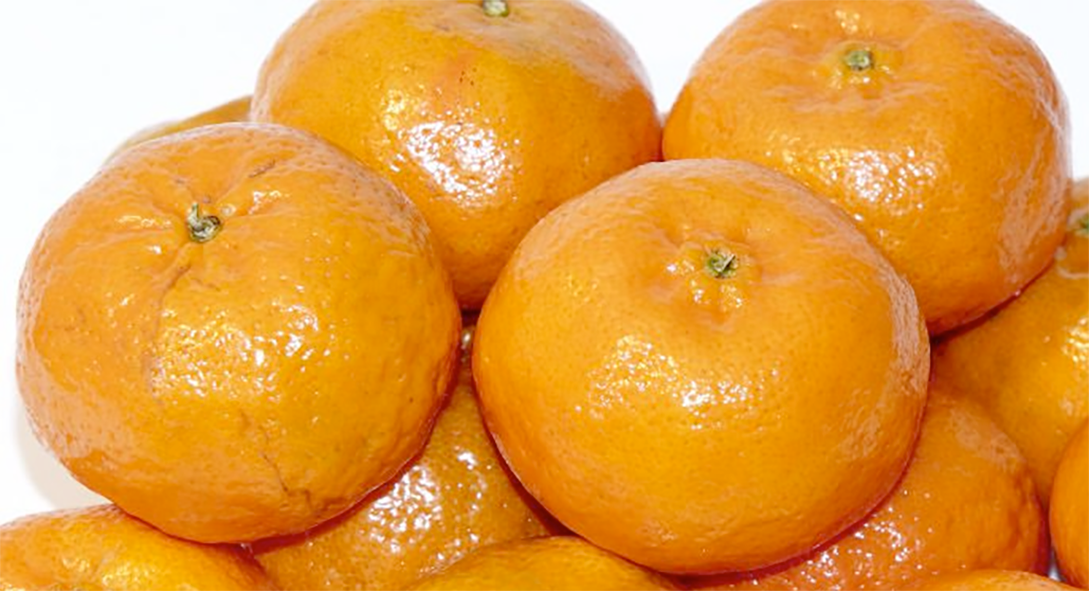Satsuma fruit