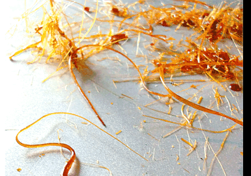 Sugar threads</caption>