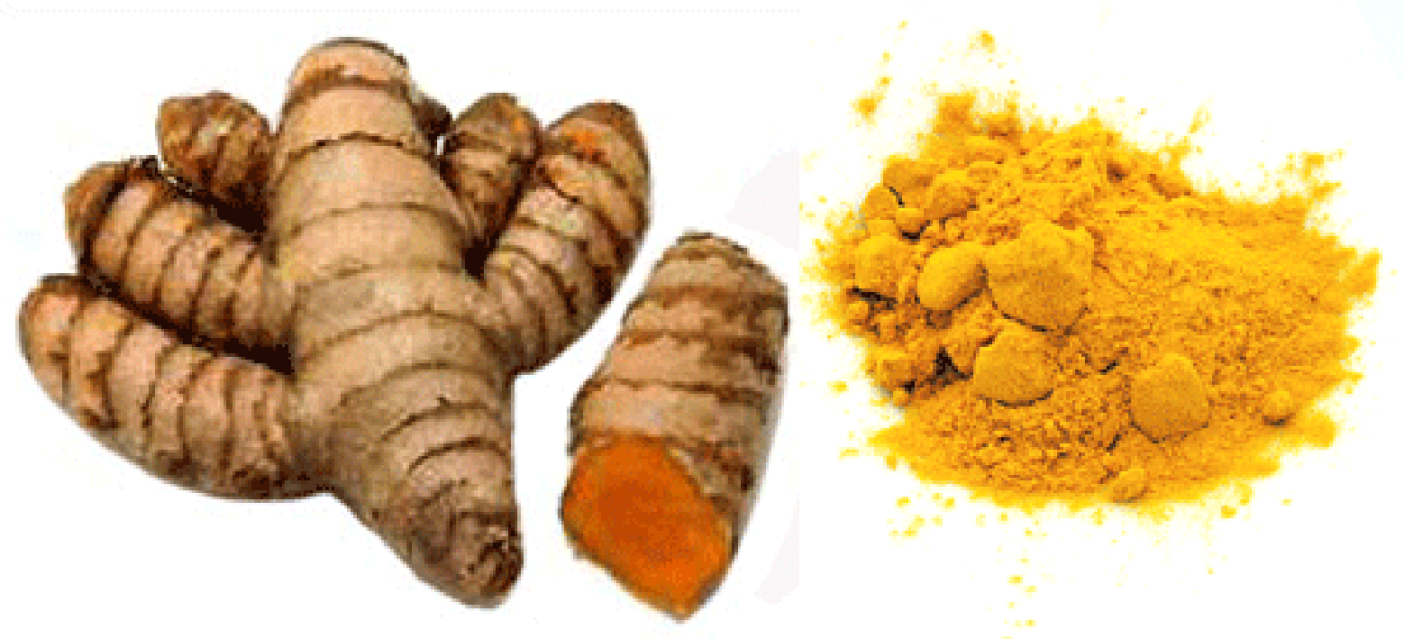 Turmeric root and powdered dried root