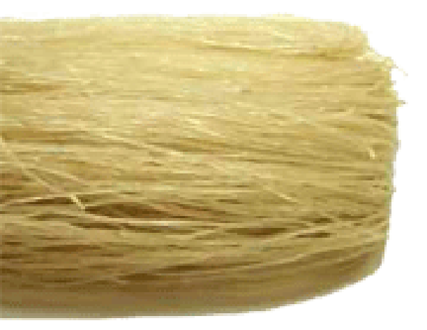 Bundle of uncooked vermicelli pasta