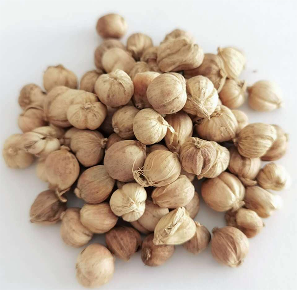 White Cardamom Pods against a white background