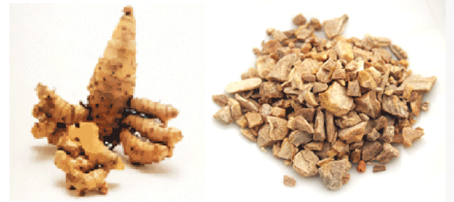 Zedoary Root