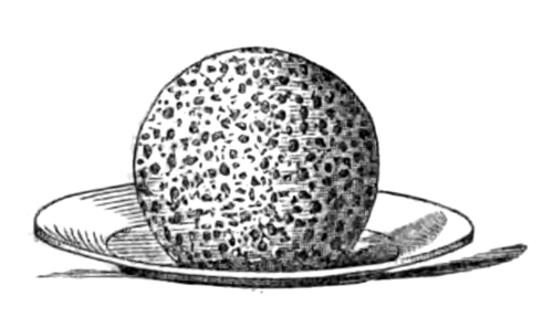 Eliza Acton Boiled Puddings