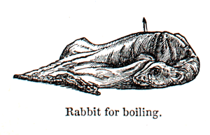 Eliza Acton Rabbit for Boiling