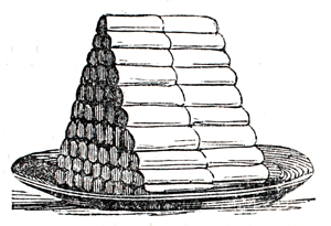 Eliza Acton Cannelons/Canneloni