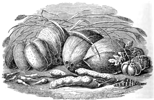 Eliza Acton Curry Spices