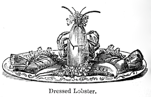 Eliza Acton Dressed Lobster