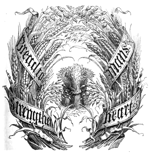 Eliza Acton English Bread Book