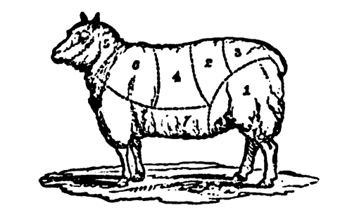 Eliza Acton Cuts of Mutton