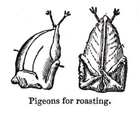 Eliza Acton Pigeons for Roasting