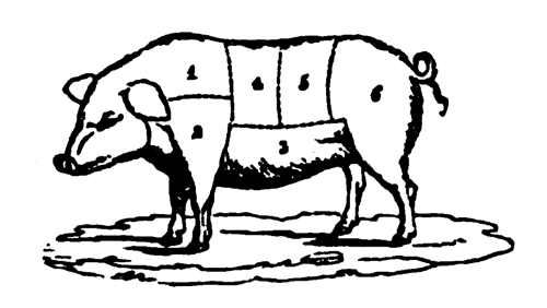 Eliza Acton Cuts of Pork