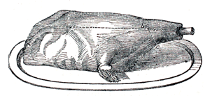 Eliza Acton Roast Haunch of Venison