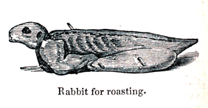 Eliza Acton Rabbit for Roasting