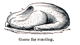 Eliza Acton Roasting Goose