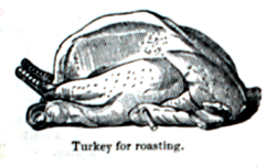 Eliza Acton Roasting Turkey