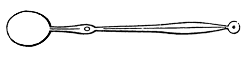 Eliza Acton Salamander