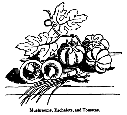 Eliza Acton, Store Sauces, Mushrooms, Shallots and Tomatoes