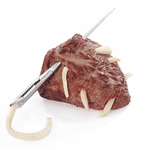 larding needle and beef