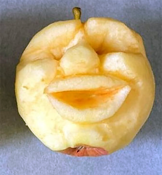 apple shrunken head in a baking tray