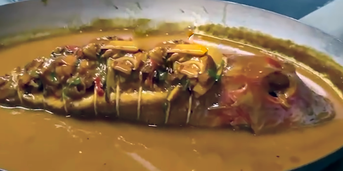 baked, stuffed gurnard in sauce