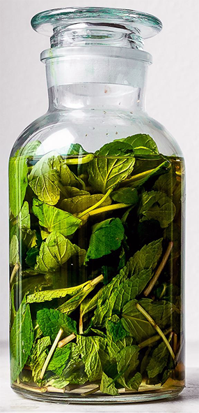 vinegar infusing with mint leaves in a stoppered glass jar