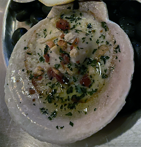 oyster meats in white sauce served on a porcelain scallop shell
