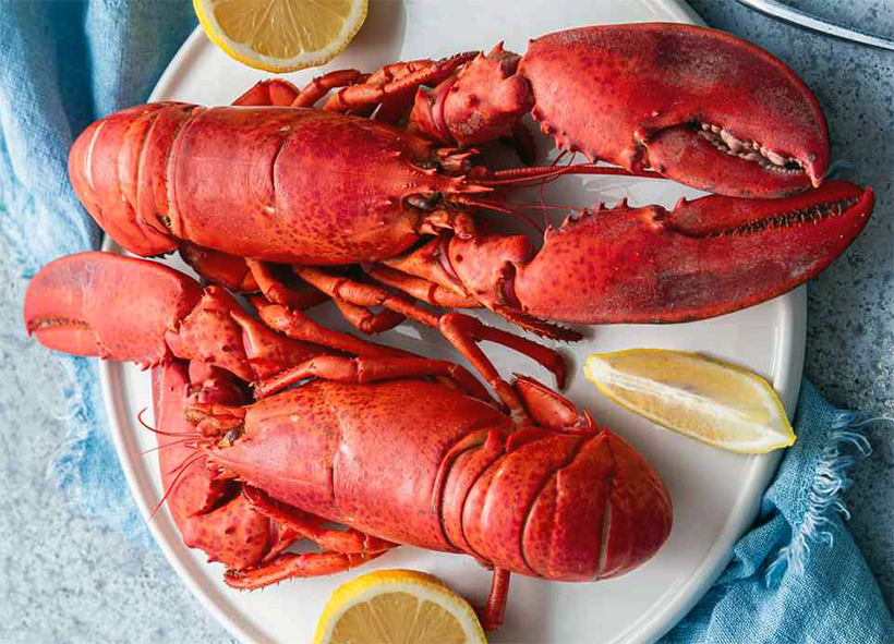 two boiled lobsters on a plate
