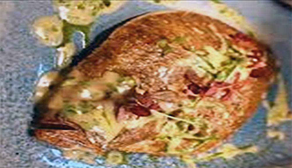 whole butter-roasted megrim sole on a plate