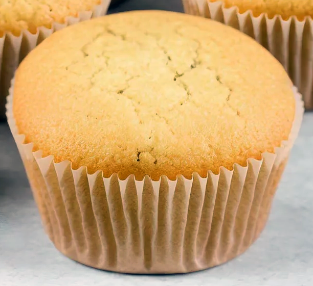 plain white cupcake ready for decoration