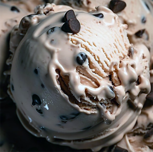 Chocolate chocolate chip ice cream in a bowl