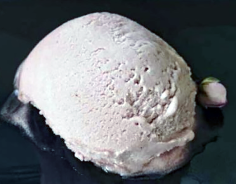 scoop of dried rose hip ice cream on a black plate