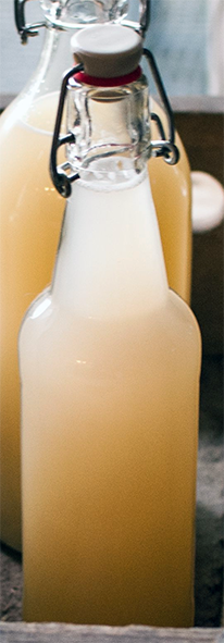 home-made ginger beer in a click-top bottle