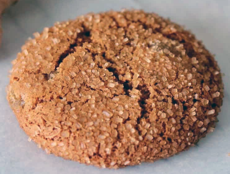 sugar dusted ginger cookie on a sheet of greaseproof paper