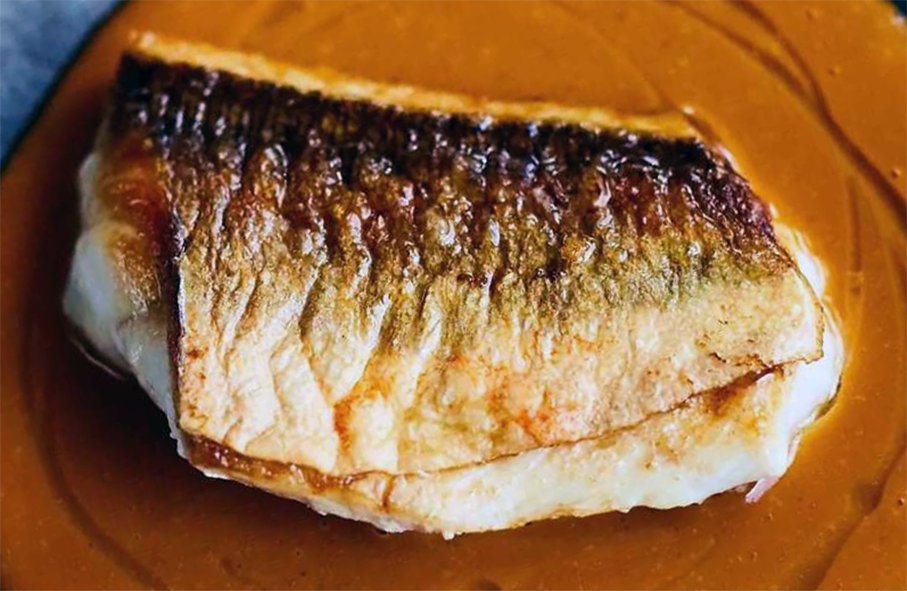 pan-fried gurnard fillet served on a bed of Porthilly sauce