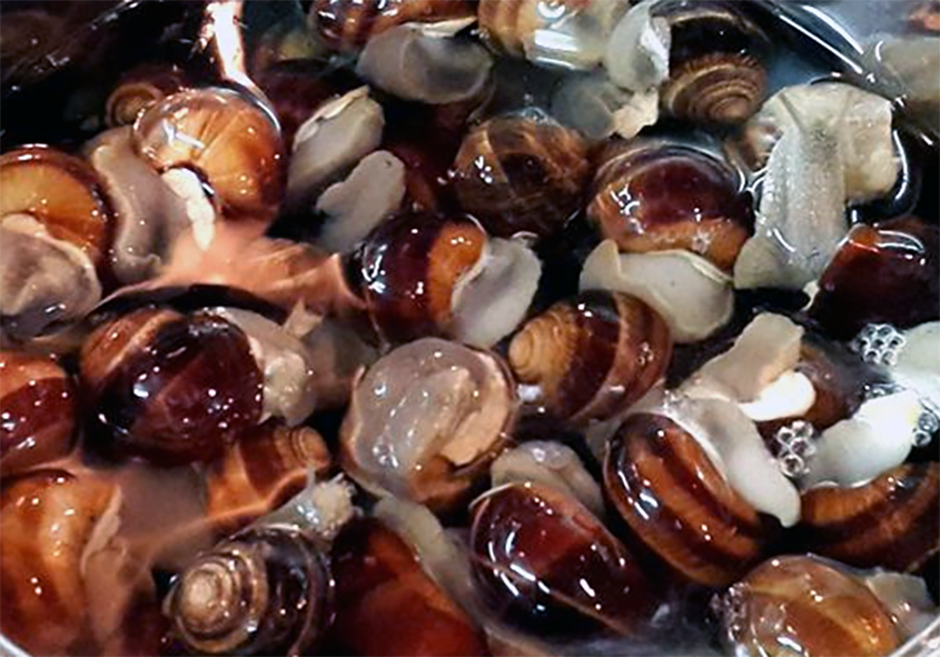 cypriot boiled snails in a bowl